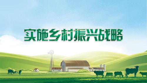 打造乡村振兴支持平台，助力农村发展的新引擎