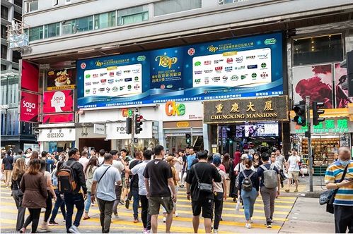打造招商广告网站，助力企业拓展市场新天地