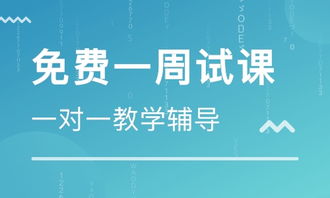 坪山西点培训指南，让你的烘焙梦想起飞