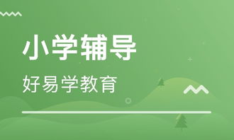 坪山西点培训指南，让你的烘焙梦想起飞