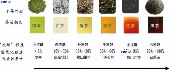 揭秘品牌茶叶的分量之谜，一般几斤？