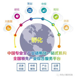 乡村振兴中的国土规划与实施策略，实操指南与案例分析