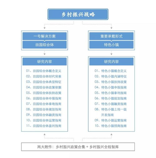 乡村振兴中的国土规划与实施策略，实操指南与案例分析