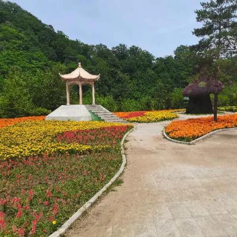 乡村振兴与民生改善，共绘美丽乡村新画卷
