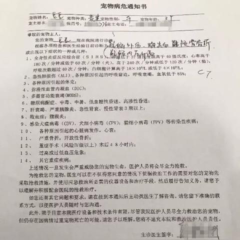 高端鞋洗护加盟品牌推荐