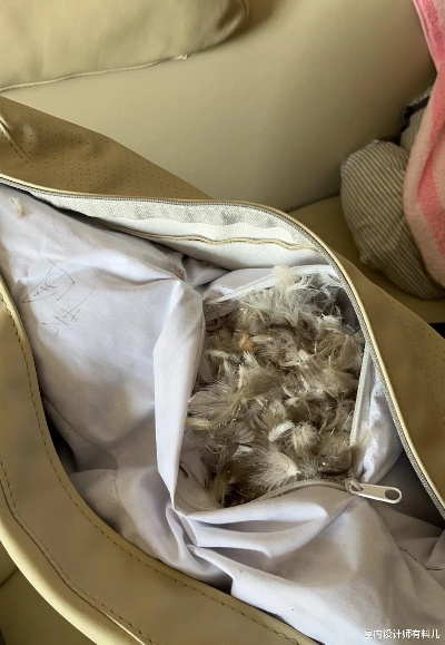 花溪寻宝记，哪里买小鸭绒被最靠谱？