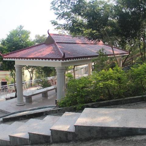 党建引领乡村振兴，共绘美丽乡村新画卷