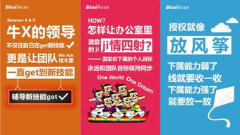 轻松告别网站广告骚扰，揭秘黑网站广告的技巧与案例