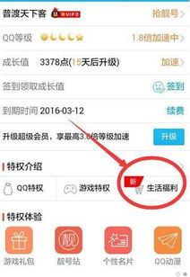 京东白条收钱商家怎么提现