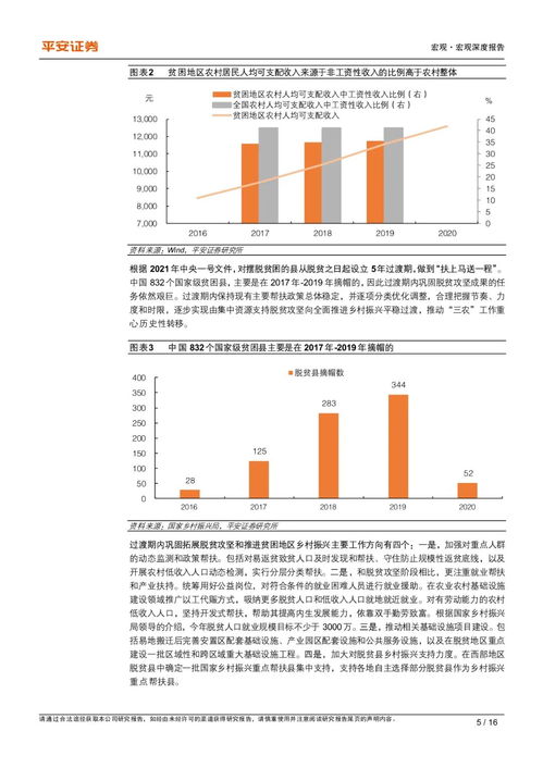 乡村振兴战略下产业发展新路径，多元化与可持续并行