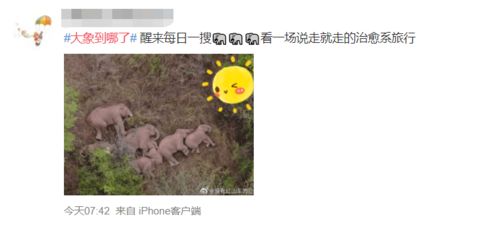 鸭绒被的晒与用—冬天里的温暖守护者