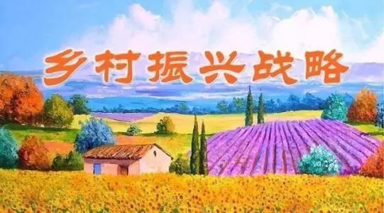 乡村振兴第一书记的实践指南，如何做好领头羊