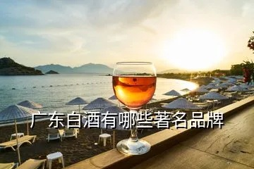 广东贴牌白酒品牌大盘点，这些知名品牌你了解多少？