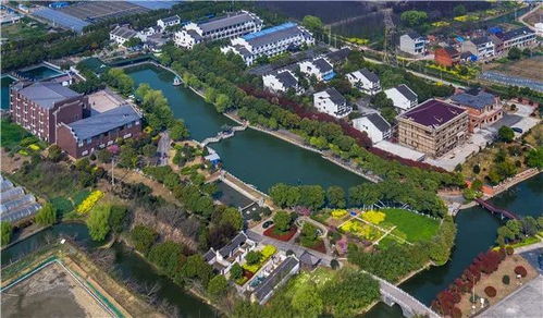 乡村变城记，从宁静田园到繁华都市的华丽转身