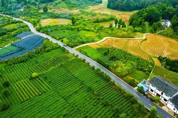 乡村旅游产业发展的金点子，打造乡村振兴新引擎