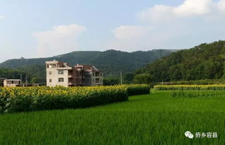 全域旅游在乡村的落地实践，让美丽乡村焕发新活力