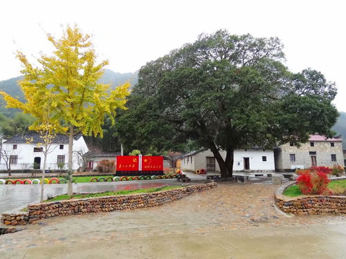 全域旅游在乡村的落地实践，让美丽乡村焕发新活力