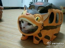 龙猫迷必看！盘点几款受欢迎的龙猫家用玩具品牌及推荐