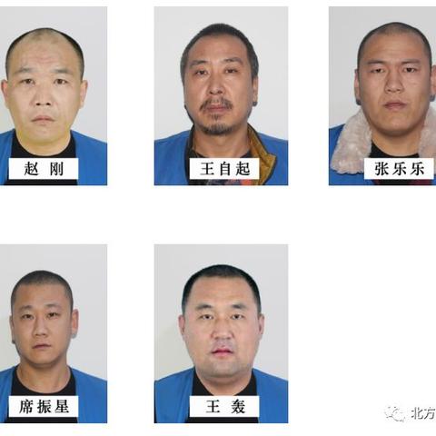 如何举报县乡村干部打恶除霸—实用指南与案例分析