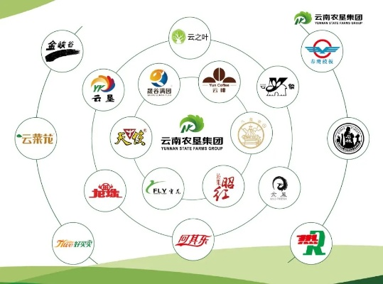 云南母婴品牌的崛起之路