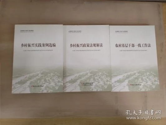 如何成为一名优秀的乡村干部—实战指南与案例分析