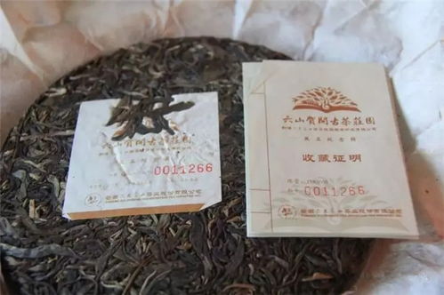 四字茶叶品牌，品味生活新境界