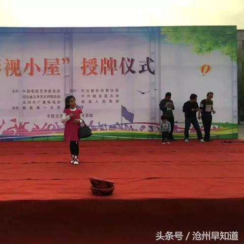 沧州舞蹈加盟店品牌推荐及案例分析