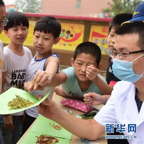 沧州舞蹈加盟店品牌推荐及案例分析