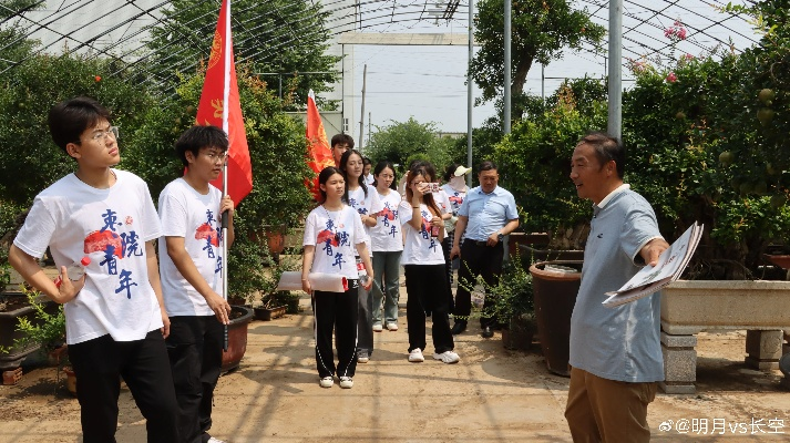 大学生如何为乡村振兴添砖加瓦—青春力量助力乡村发展