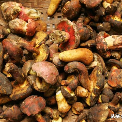 云南火锅加盟品牌推荐—探秘自助火锅加盟新世界
