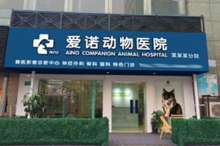 宠物诊所加盟连锁品牌推荐