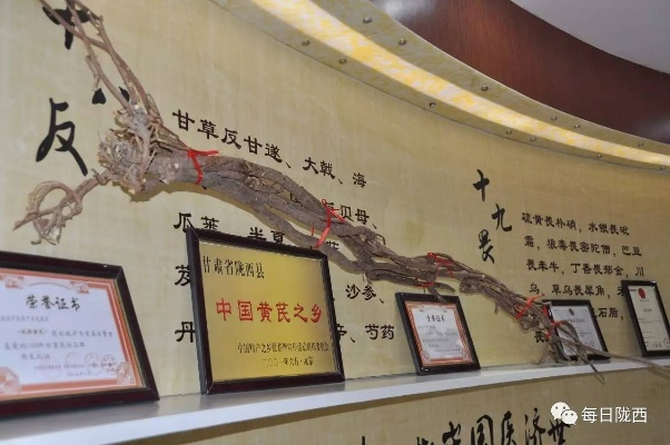 甘肃中医药的瑰宝