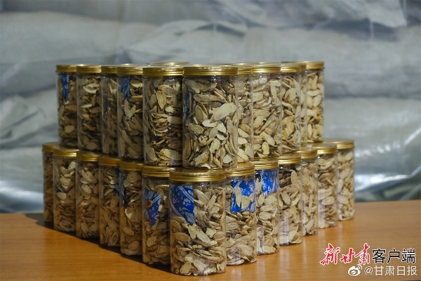 甘肃中医药的瑰宝