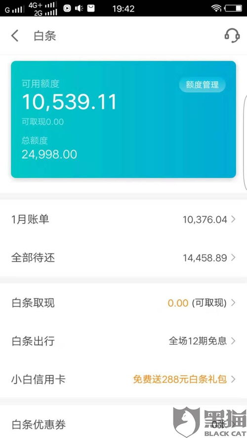 京东白条额度几万了怎么提现 京东白条额度提现攻略，如何安全高效地提取资金