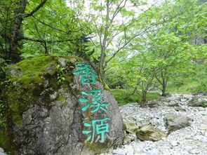 栾川王府竹林，隐匿于山水间的仙境，探秘自然之美
