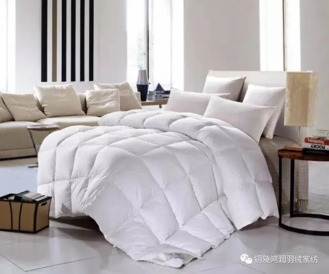 揭秘鸭绒被的重量与尺寸之谜—图片尺寸大揭秘！