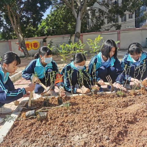 中医药品牌发展之路