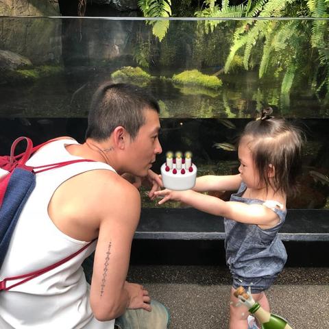 揭秘不良网站广告背后的木马陷阱，如何防范与应对