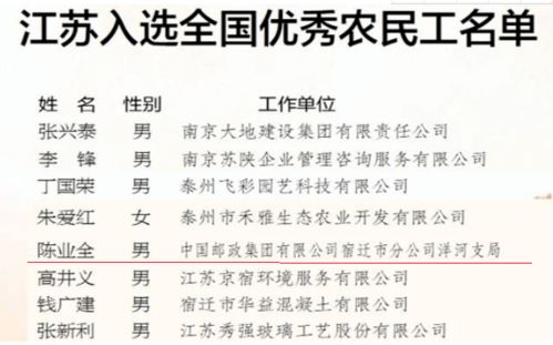 如何成为一名优秀的乡村工作人员—实战指南与案例分析