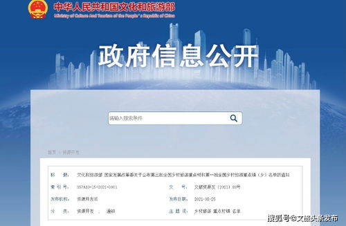 如何成为一名优秀的乡村工作人员—实战指南与案例分析
