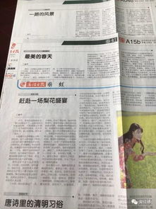 如何成为一名优秀的乡村工作人员—实战指南与案例分析