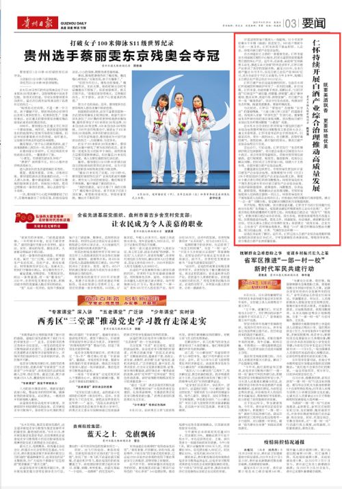 如何成为一名优秀的乡村工作人员—实战指南与案例分析