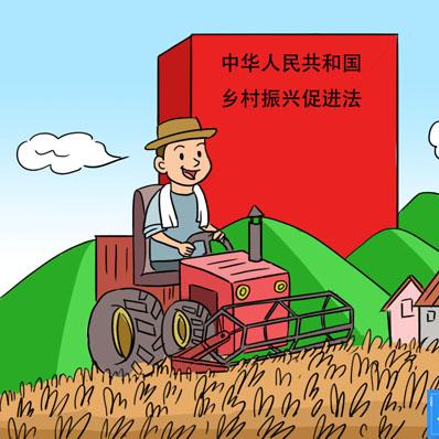 大学生助力乡村振兴，行动指南与案例分享