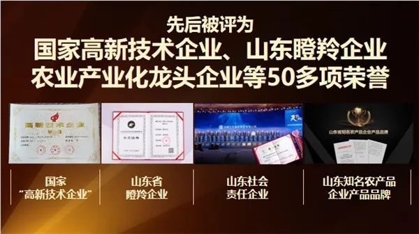 礼合茶叶十大品牌盘点，品味传统，尽享茶香四溢