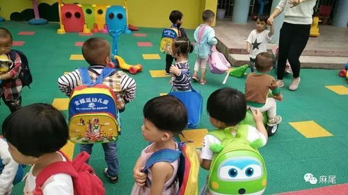 三门峡市的早教加盟新星—选择优质品牌，开启孩子成长的黄金时期
