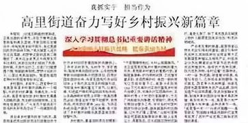 乡村振兴，巧用小钱，大办好事—低成本高效益的实践之道