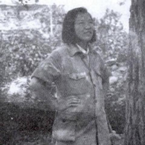揭秘微信聊天记录，如何找回遗失的甜蜜？