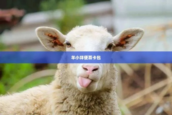 羊小咩便荔卡咋能提现到上呢 羊小咩便荔卡提现攻略，轻松操作，快速到账！