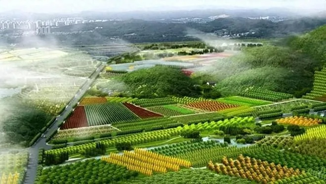 农业旅游助力乡村振兴，打造特色，共谋发展