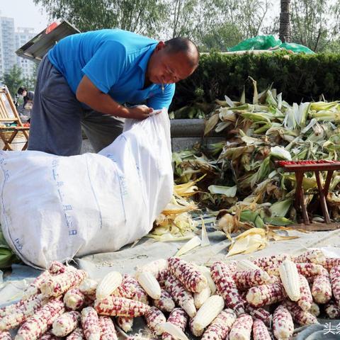 北方的太阳户外品牌—阳光下的品质生活